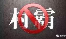 村霸事件爆料视频大全,揭秘农村黑恶势力真相